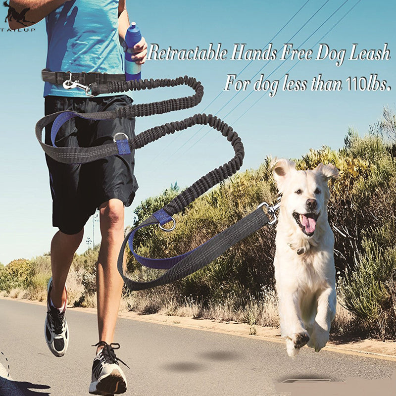 Direct pet supplies, multi-purpose running reflex pull dog leash, double elastic dog leash, pull leash.