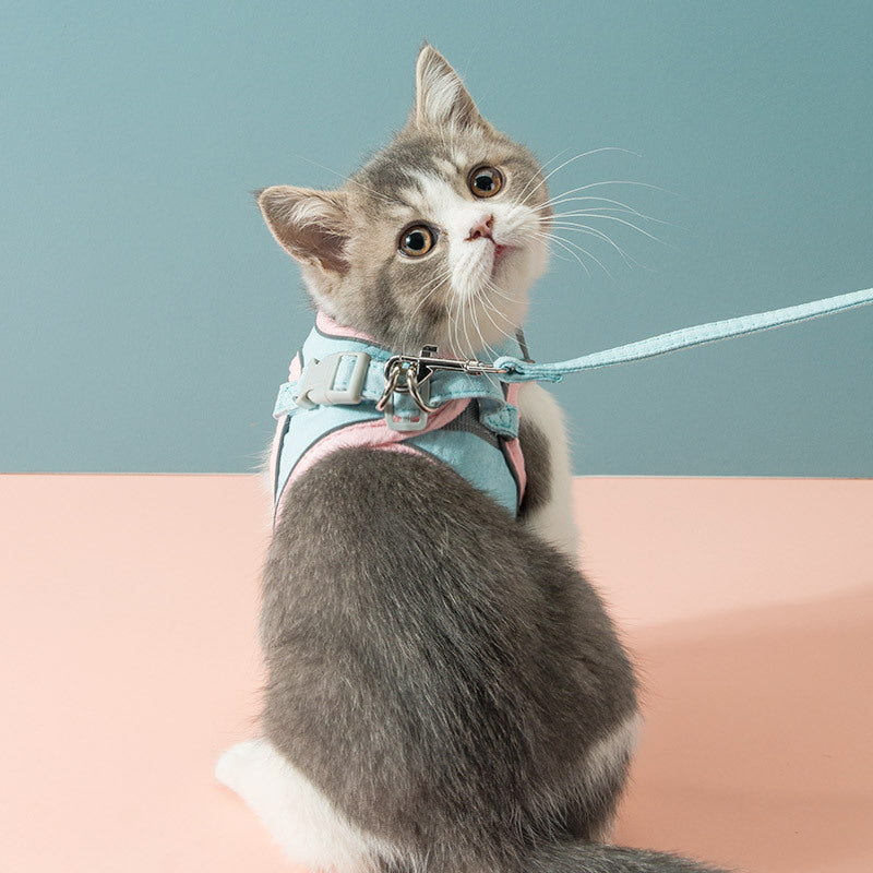 Cat lead and escape prevention harness for pet cats