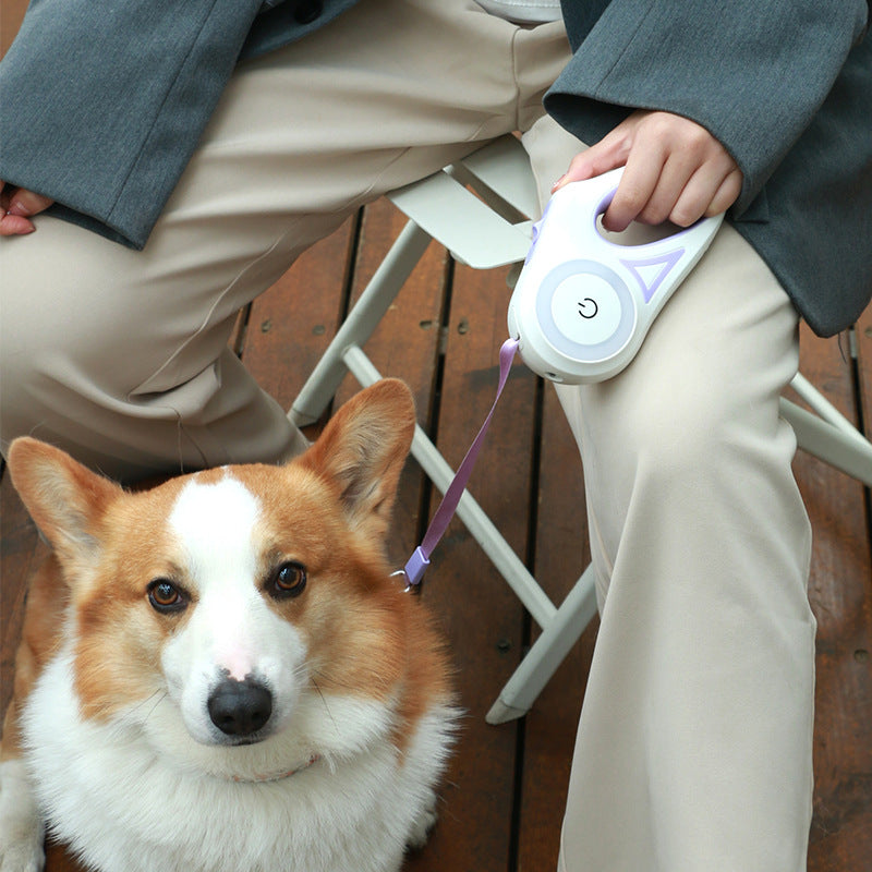 Hundeleine, ausziehbare Leine und Halsband mit automatischem Scheinwerfer für kleine bis mittelgroße Hunde, Haustierprodukt