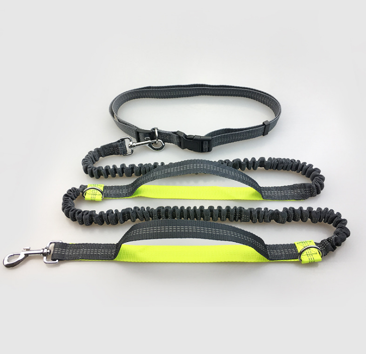 Direct pet supplies, multi-purpose running reflex pull dog leash, double elastic dog leash, pull leash.