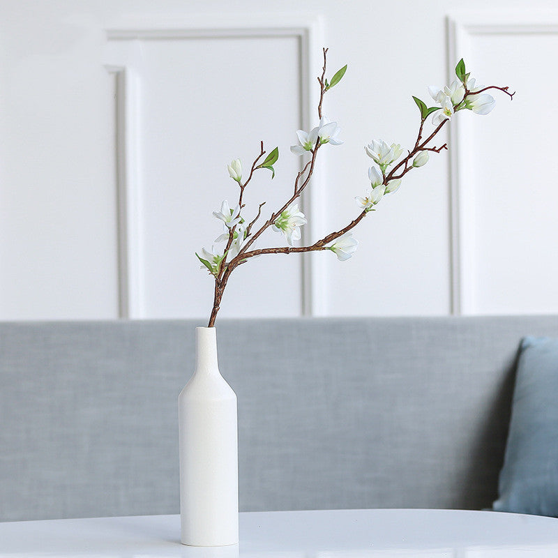 Creatively designed ceramic vase for hydroponics, decorative ornaments.